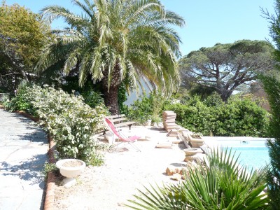 Piscine et jardin arbor