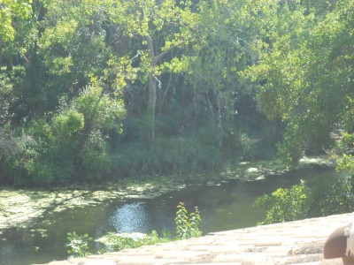 LA COUDOULIERE VUE SUR LAC